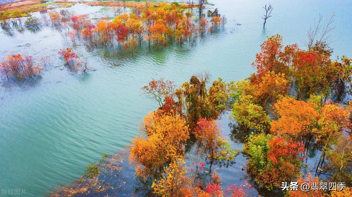 女人五十岁怎么做好事,40岁女人如何做好三件事情