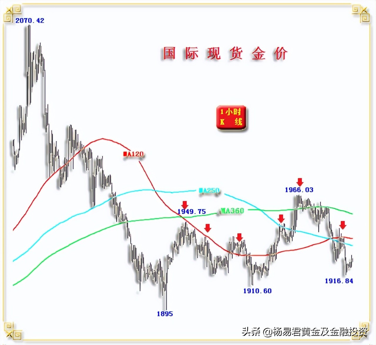 威尔鑫黄金杨易君分析师,黄金追涨杀跌的58个技巧