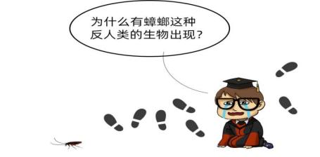 土方法灭蟑螂怎么正确消灭最彻底,灭蟑螂误区及正确的灭蟑螂方法