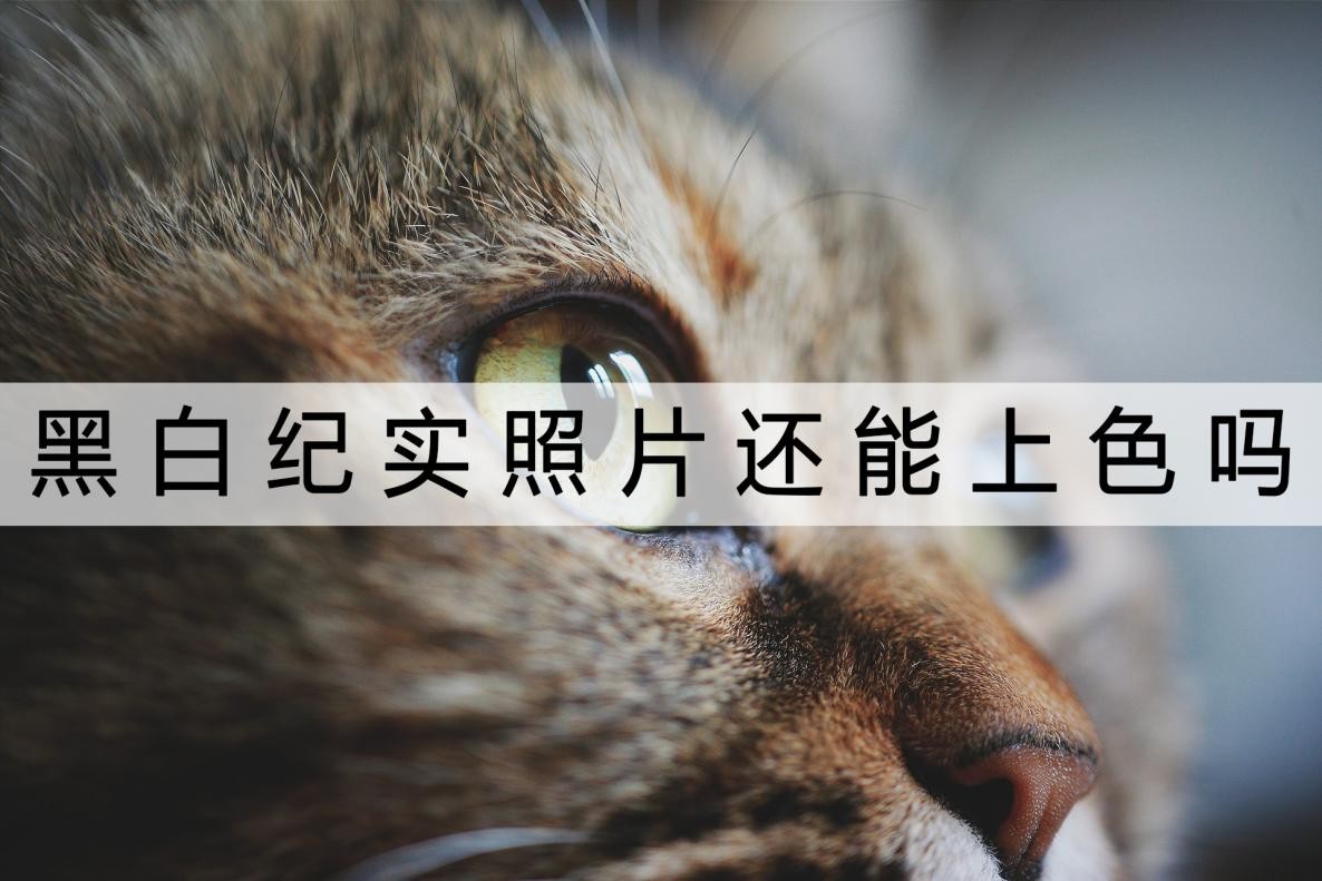 列出给黑白照片上色的技法要点,老式黑白照片能上色吗