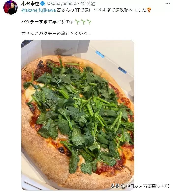 必胜客新品香菜披萨限定门店,日本必胜客披萨