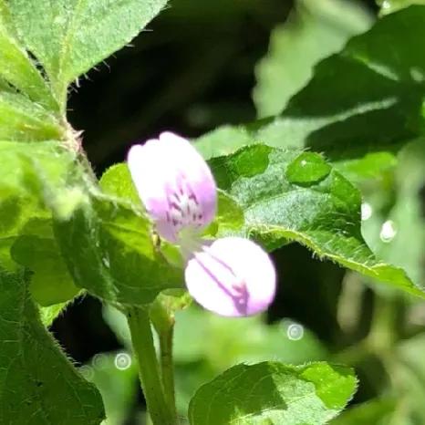 100种迷人的“数字花”,从零到一百万,真是太神奇了