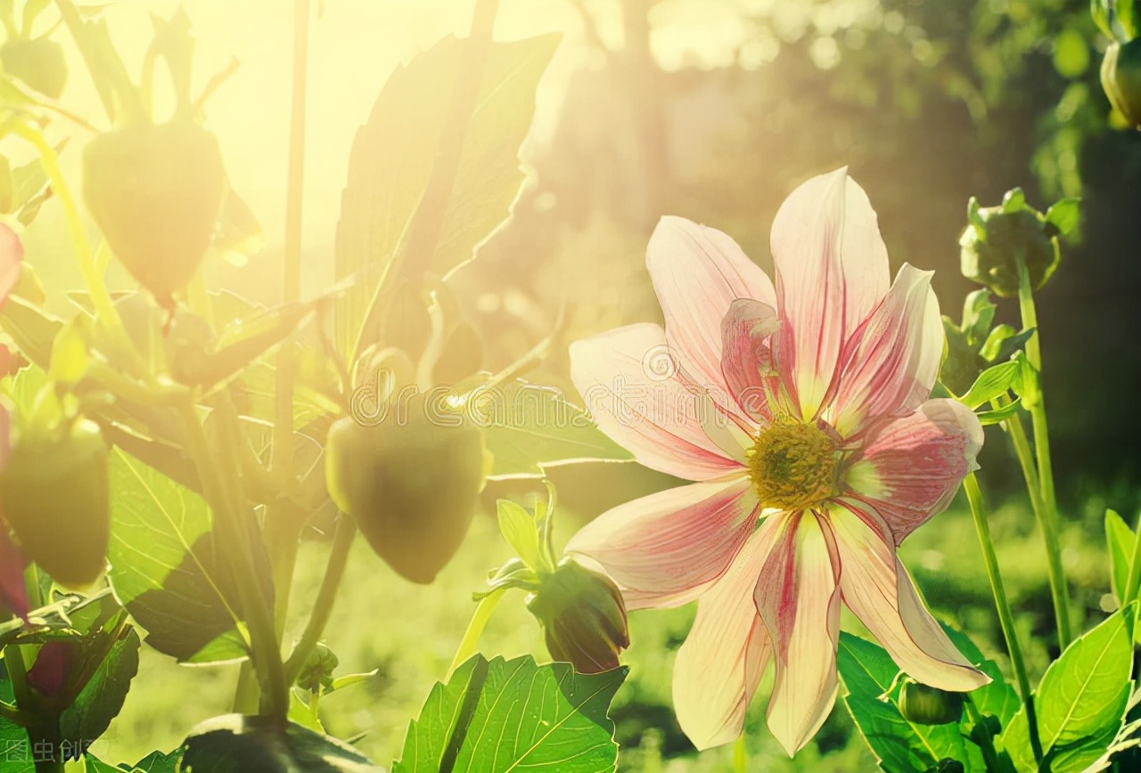 微信一句话个性签名静心句子,微信个性签名短句干净努力正能量