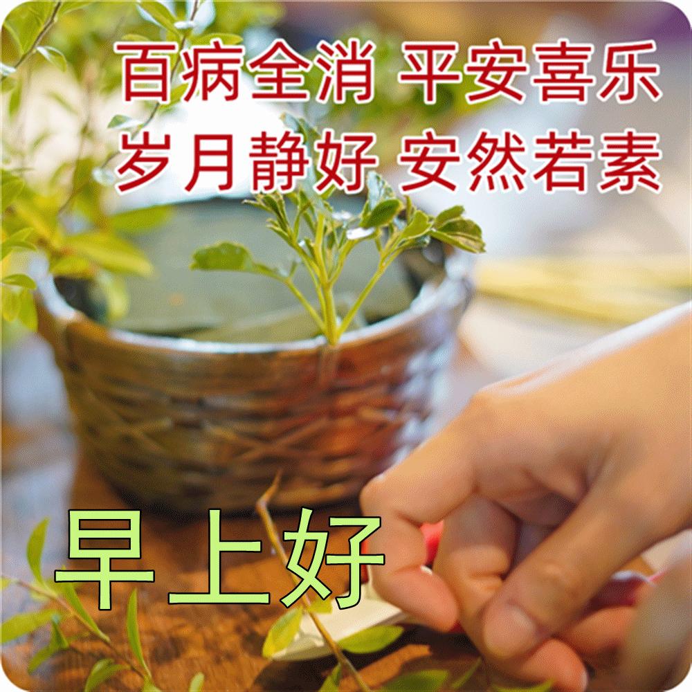 最漂亮的早安祝福图片和问候语 (2023年6月18日早上好祝福图片)