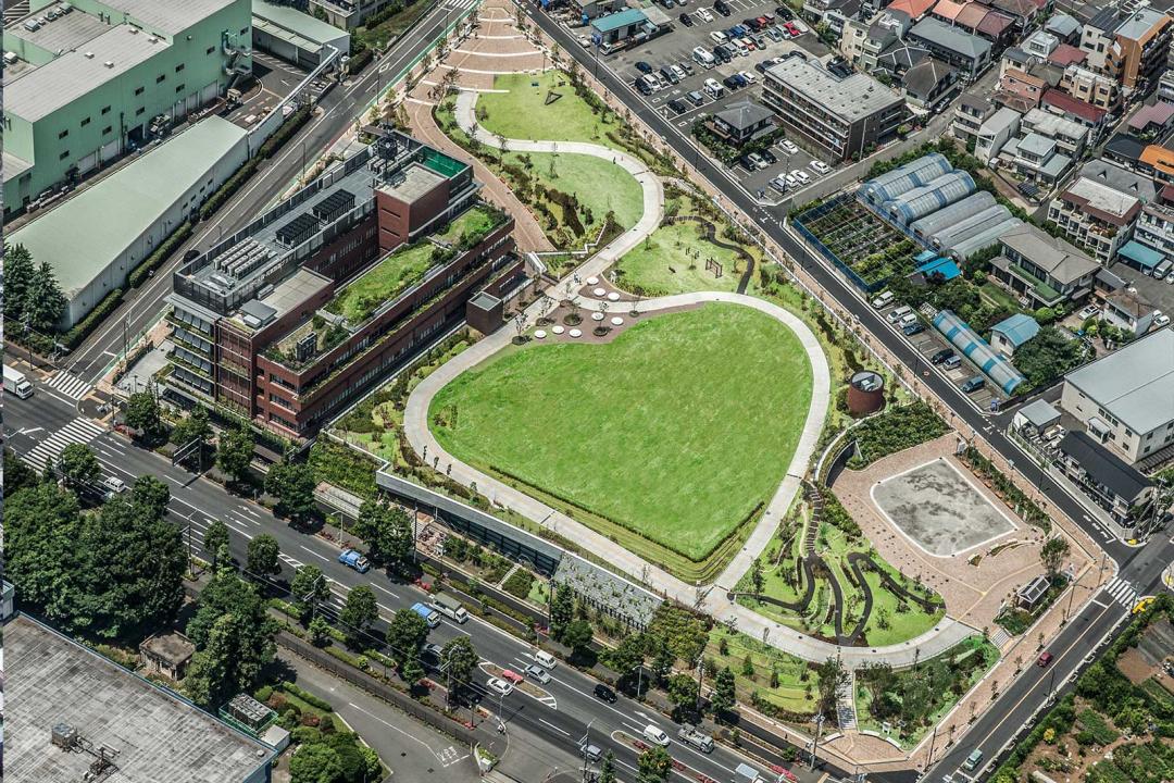 日本城市为什么那么干净,日本东京公园现状