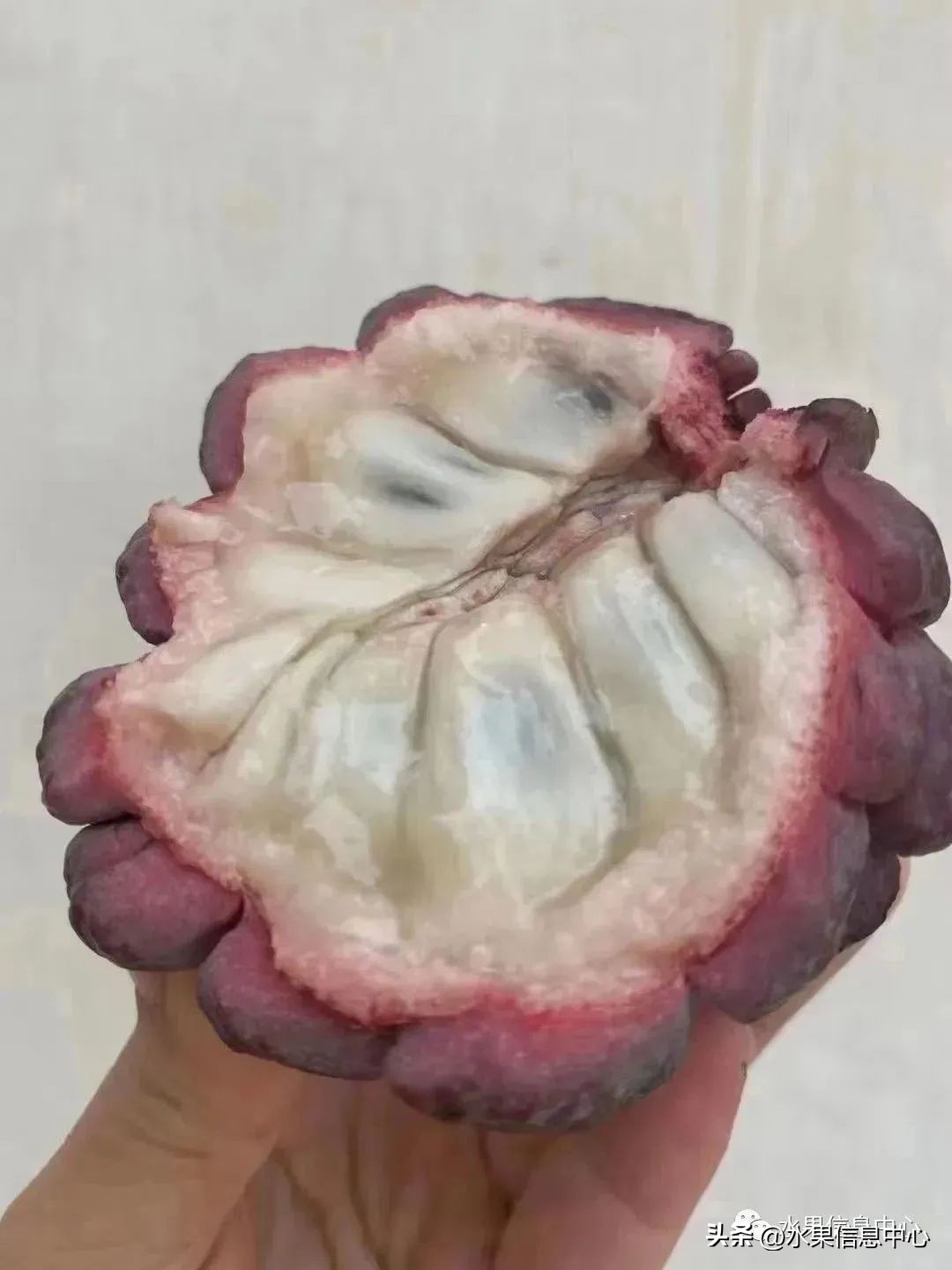 榴莲释迦又叫什么,释迦图片高清大图