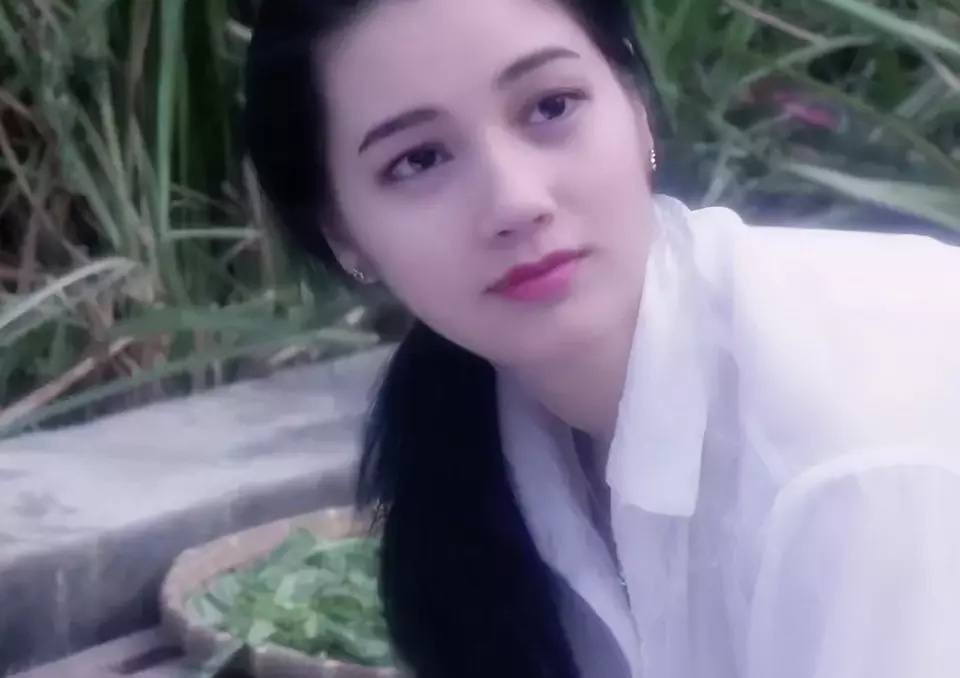 港片经典家有喜事,经典港片家有喜事内容简介