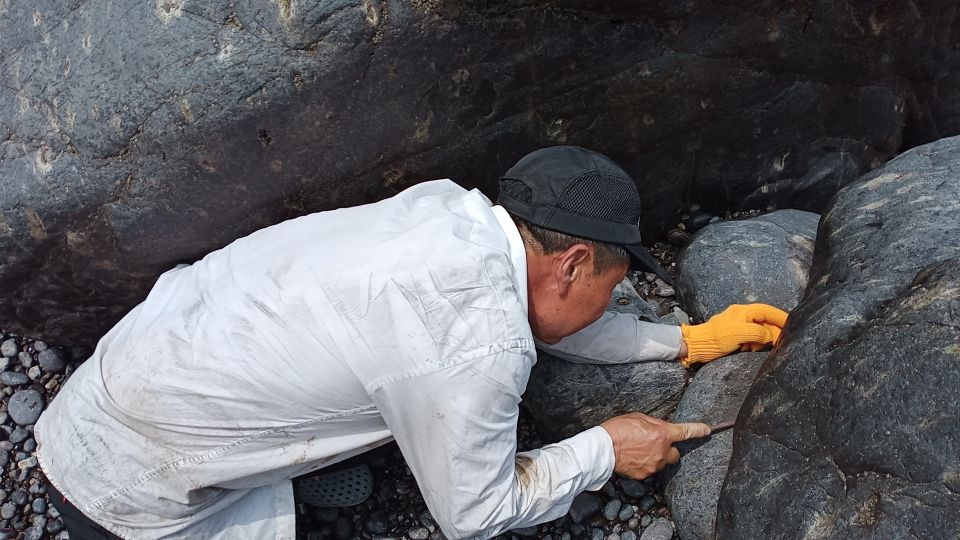 浙江蓝色的大海,浙江哪里可以看到蓝色的大海