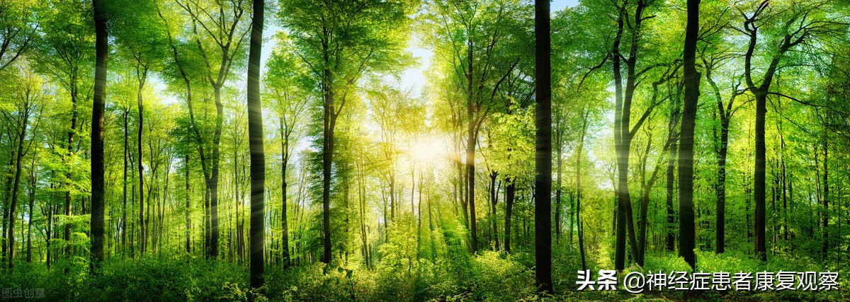 焦虑症者康复之路,焦虑症患者思维死循环