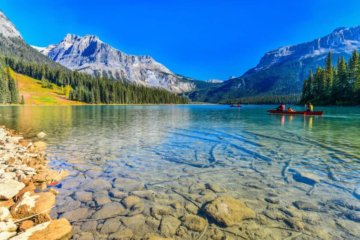 加拿大自雇移民好申请吗？拒签的原因有哪些？