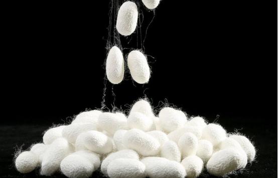 蚕丝被杭州牌子有哪些,杭州蚕丝被品牌排名