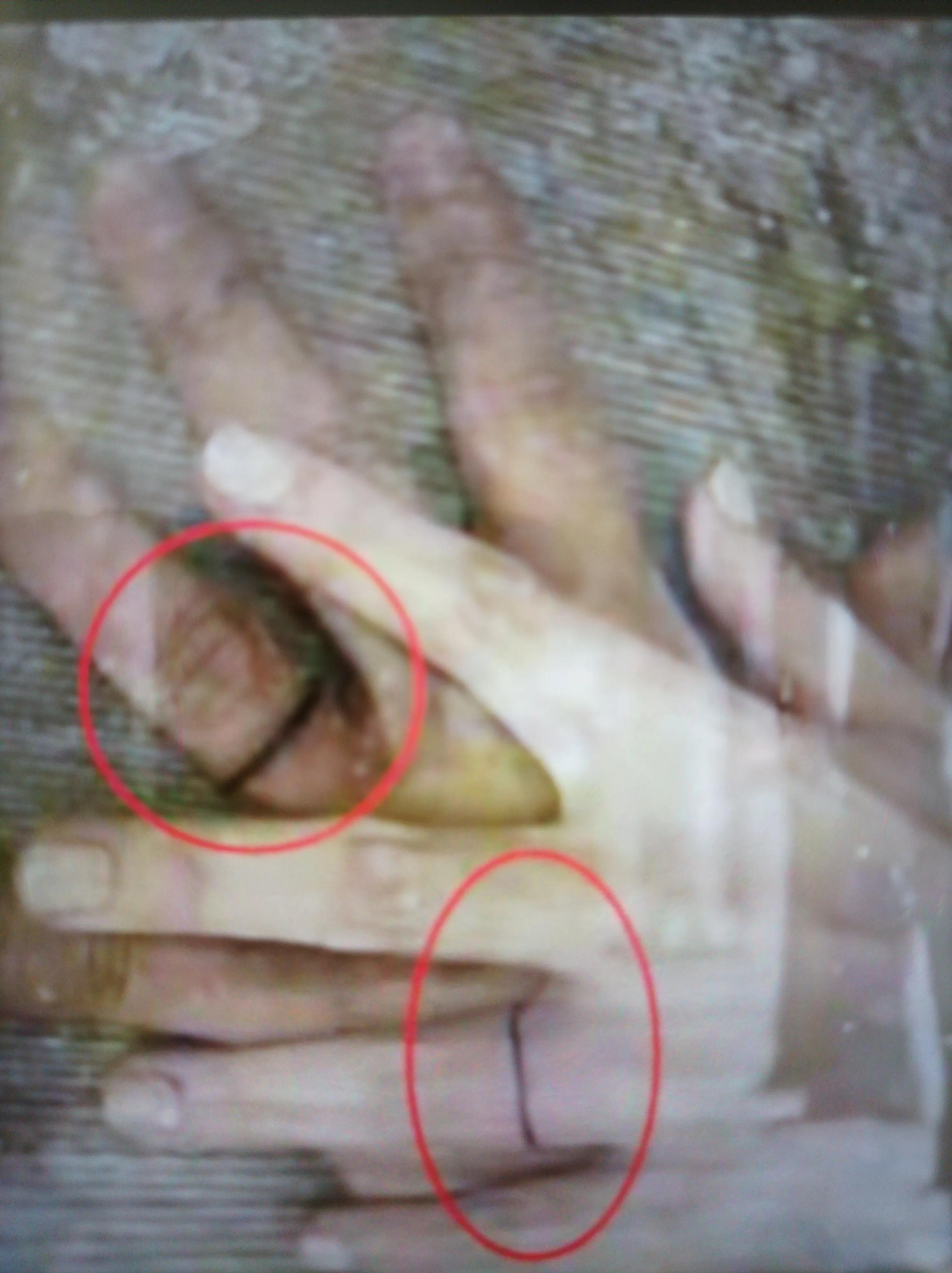 大s和卤蛋照片写真,大s和韩国卤蛋的高清大图