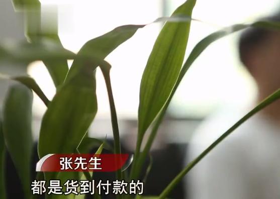 快递诈骗为啥不抓寄快递的,新型骗局快递包裹怎么举报