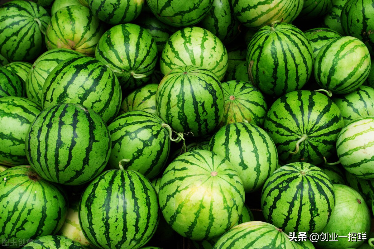 西瓜最好销售思路,夏天卖西瓜最赚钱的模式