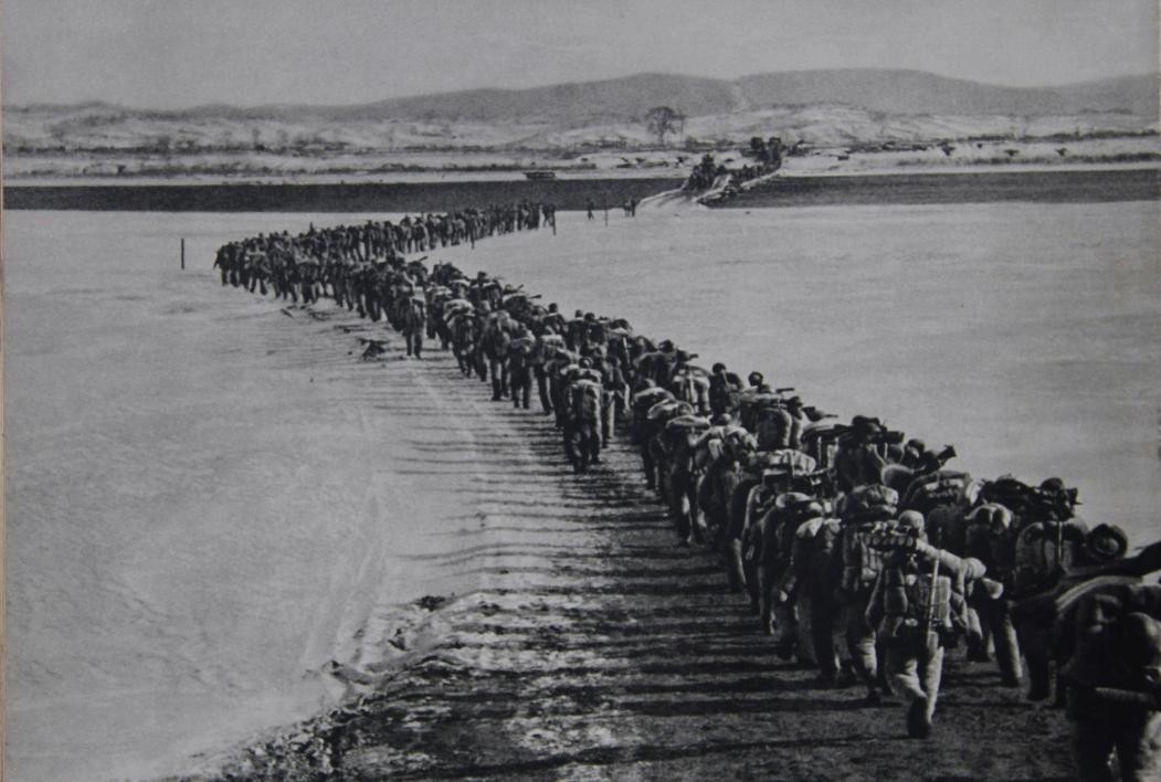 为什么美国盟友都很少,美国盟友为什么不脱离北约