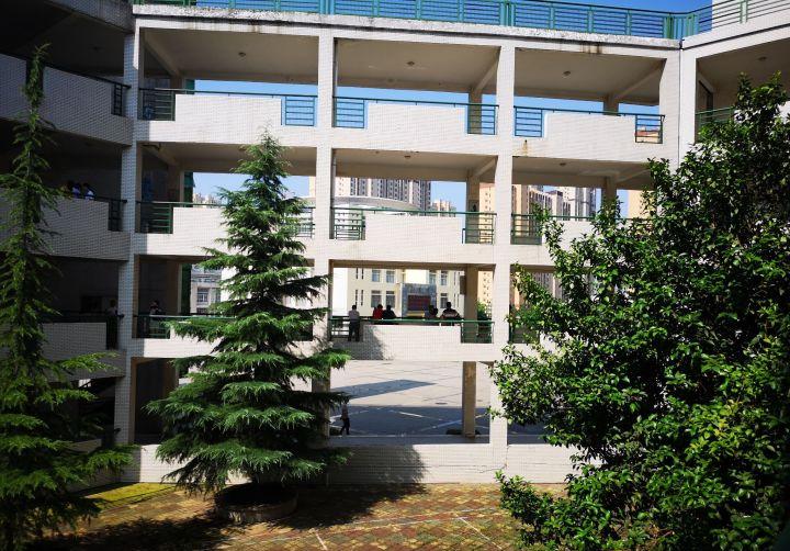 黄陂市新洲一中怎么样,武汉新洲一中与黄陂一中哪家强