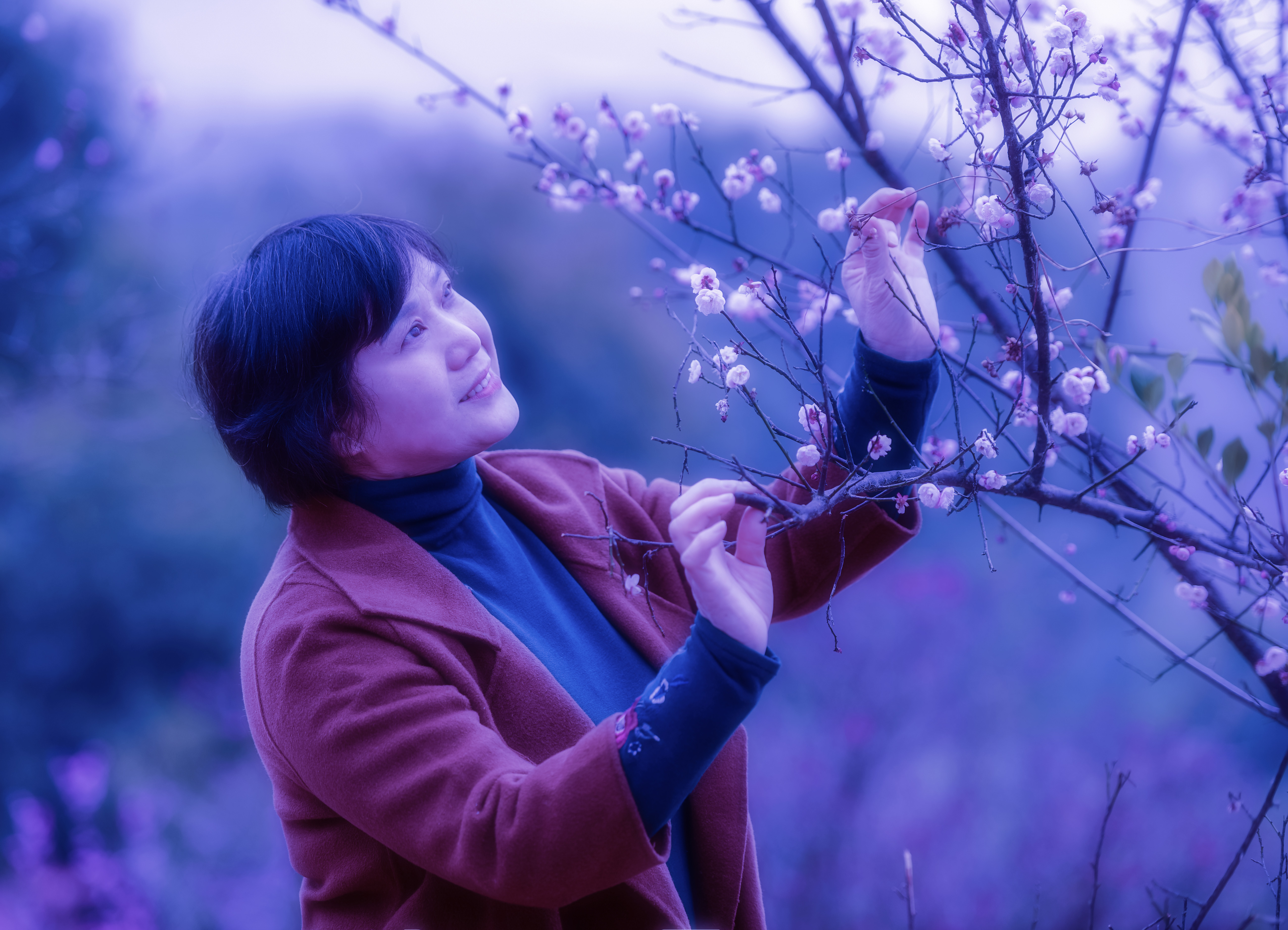 南昌中盛山庄杜鹃花最佳观赏期,南昌中盛山庄门票