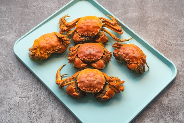 10亩地养殖螃蟹苗需要多少钱,养40亩螃蟹需要投资多少钱