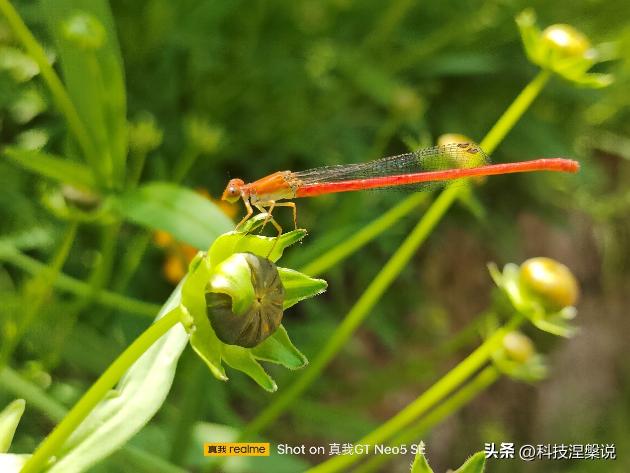 真我gtneo5se上手体验,真我GTneo5se游戏评测