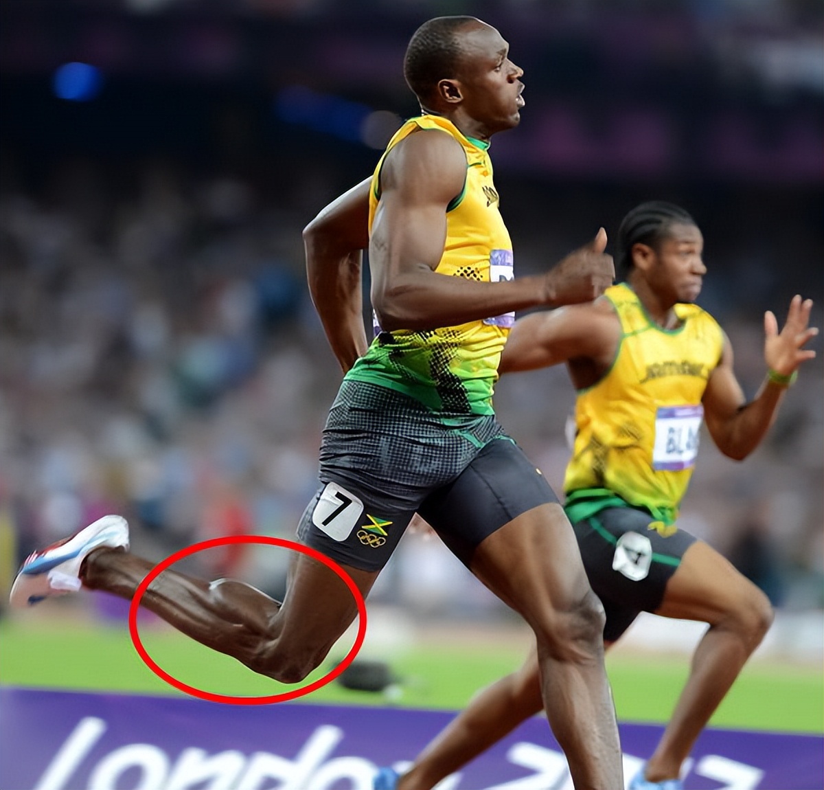 体坛那些恐怖的肌肉,罗尼的肌肉有多恐怖