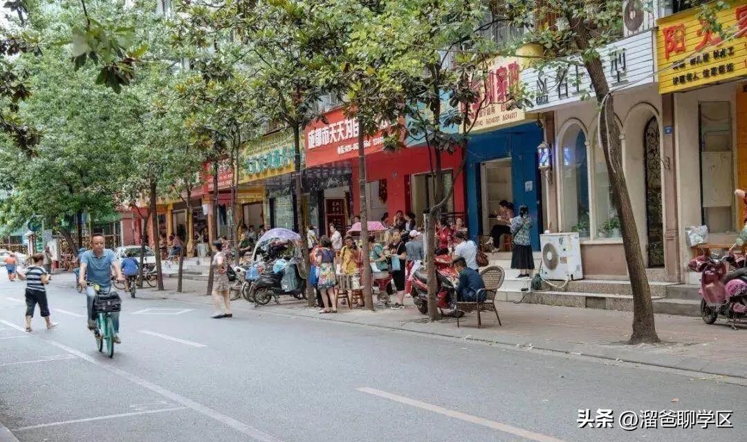 一校三区→一校五区？从不设分校的“金花学校”要爆发？