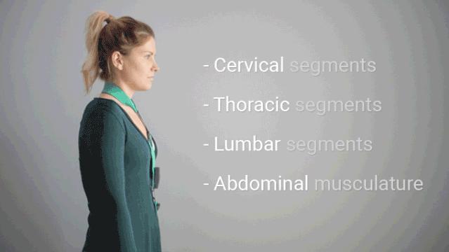 腰椎生理前凸消失是什么意思,颈椎间盘向后局限性突出