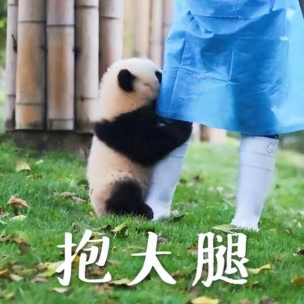 国外大牌成“上门女婿”，这些国货集团出息咯！