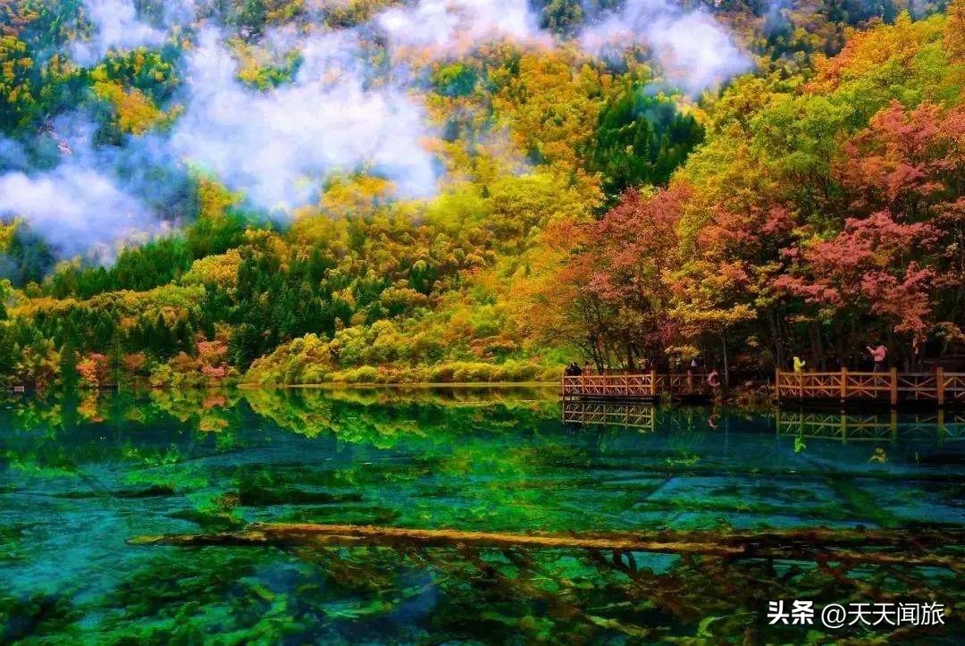 九寨归来不看水四川行,九寨归来不看水峨眉归来不看山