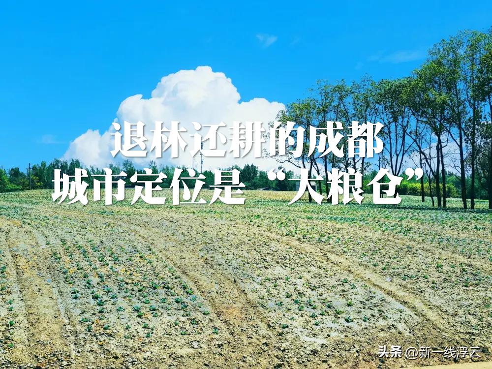 西南经济中心是成都还是重庆,西安成都重庆谁是西部领头羊