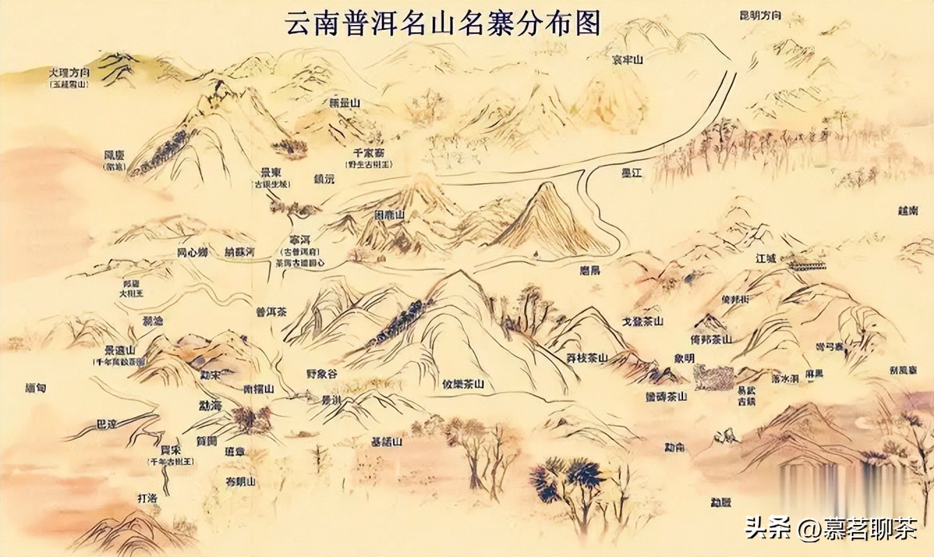 普洱茶的市场现状,普洱茶市场现状如何