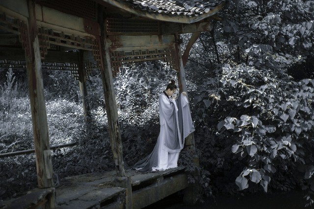 四川鸿儒教育怎么样,汉代四川名人