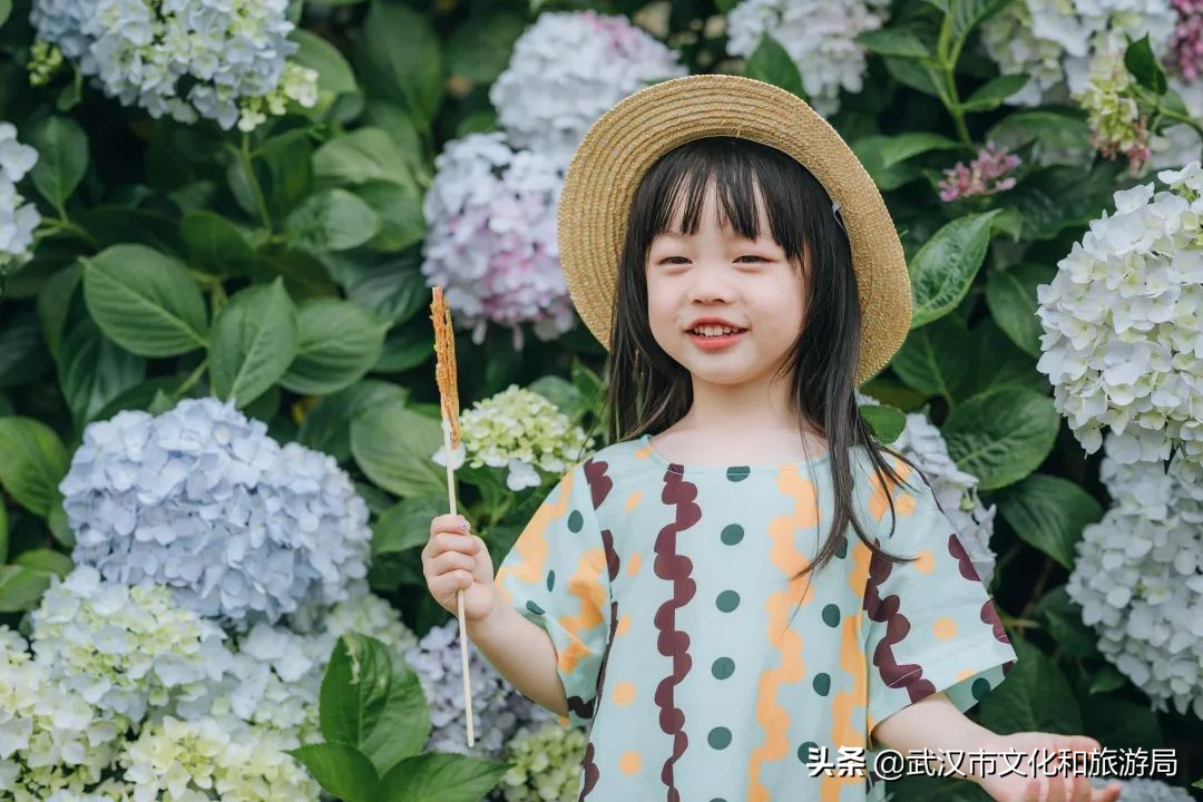 六一+端午的超级快乐将被这里承包，亲子水乐园+多彩绣球花，免费畅玩打卡，游玩攻略请查收