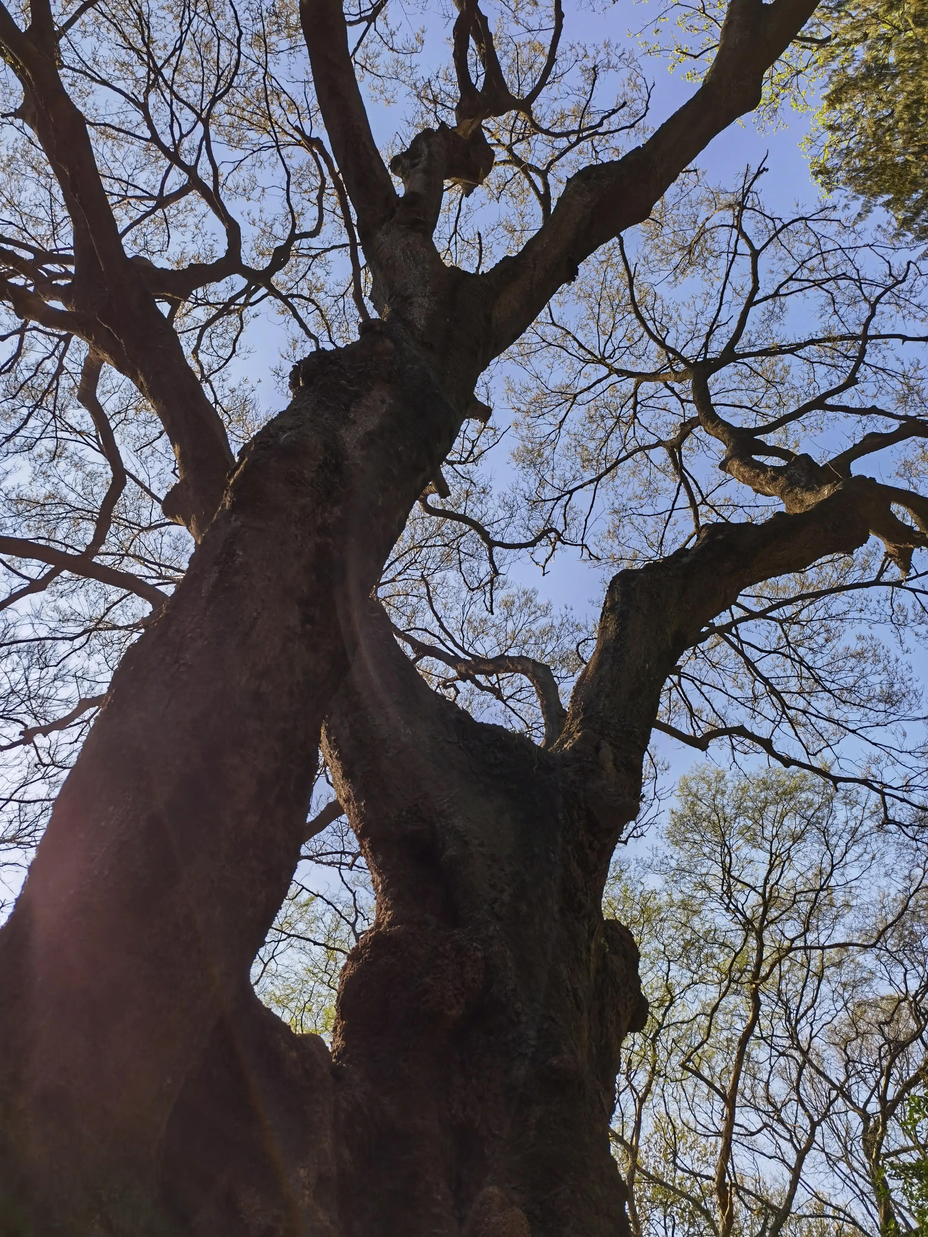 陈姊妹视频,陈姊妹最新视频