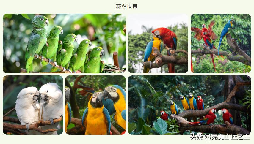 广州5a景区正佳广场,广州5a景点排名大全