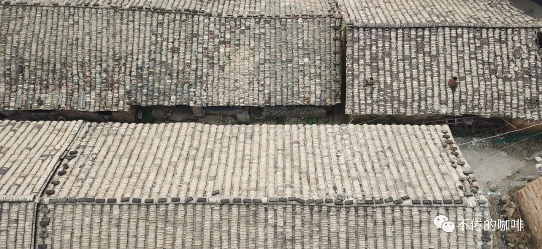 家的改编版,人的版本迭代