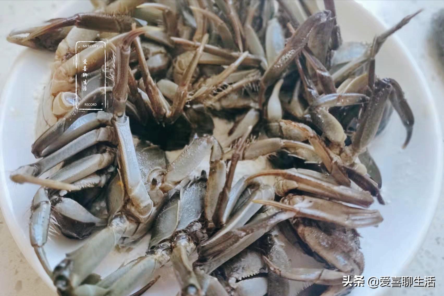 冬补鸡鸭肉没它好,肉质细嫩鲜美,炖一锅滋补又馋人,补虚又健体