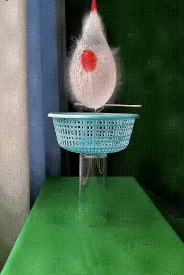 狗子看猫咪很轻松地就上去了，也学着来，结果把猫咪的窝给砸了