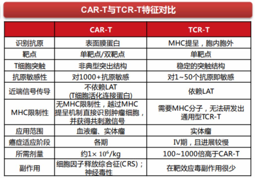 福可苏获批点火CAR-T市场！信达/驯鹿、复星凯特、药明巨诺等正面争锋