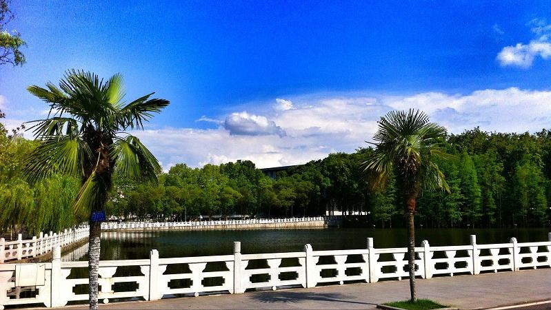 中南民族大学法学研究生的含金量,中南民族大学在哪里