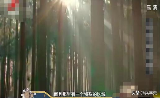 野猪林神秘事件,吉林野猪林灵异事件