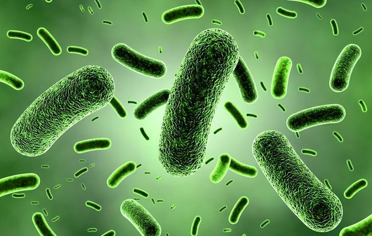 男性可以传染女性霉菌吗,男性什么病传染给女性会得阴道炎