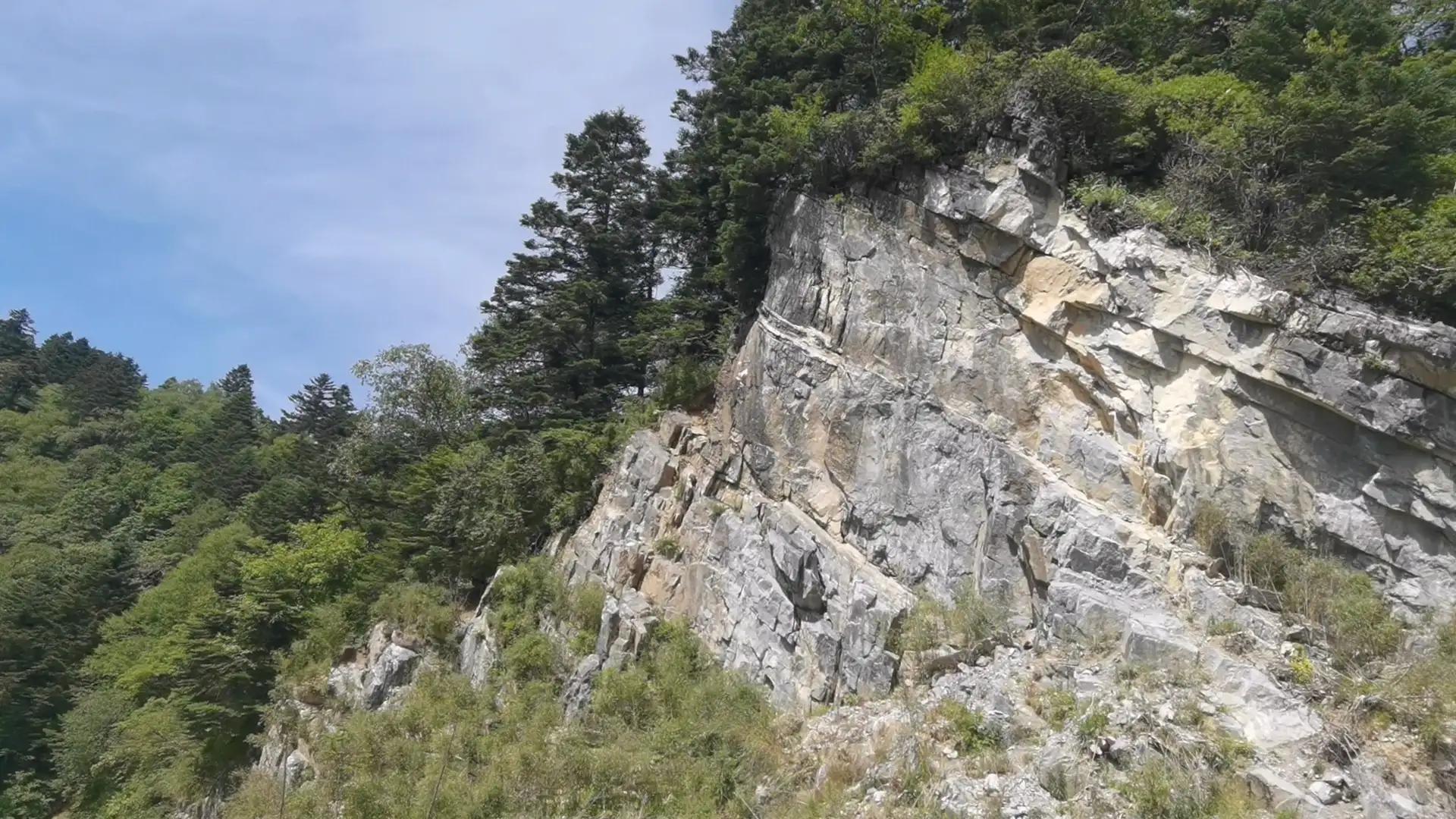 神农顶大九湖一日游价格,神农顶大九湖一日游