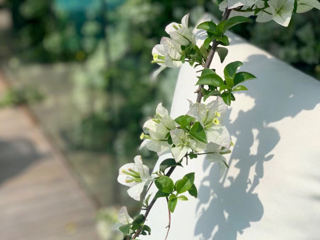 四天三晚北海涠洲岛旅游攻略,北海攻略涠洲岛攻略