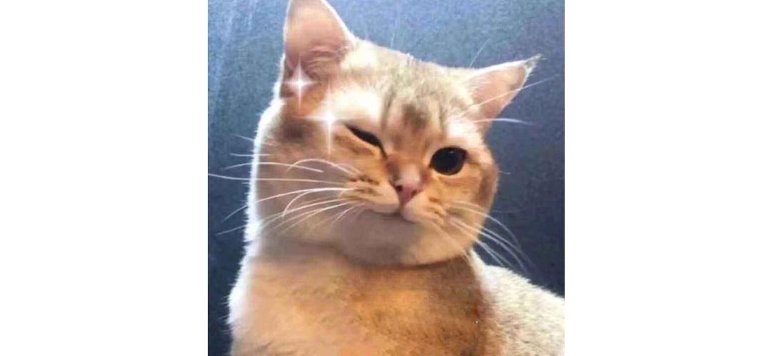 六款天价雪糕谁更佳,盘点几款巨好吃的高颜值雪糕