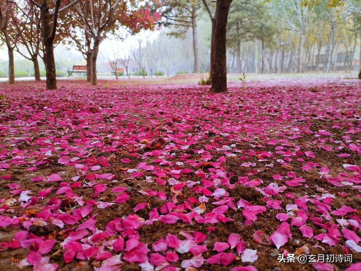 人道*光春**好，我言春堪怜，三*长首**相思诉说春天的情绪