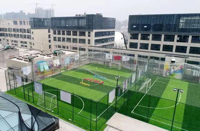 浙江足球改革最新消息,青岛足球改革最新消息