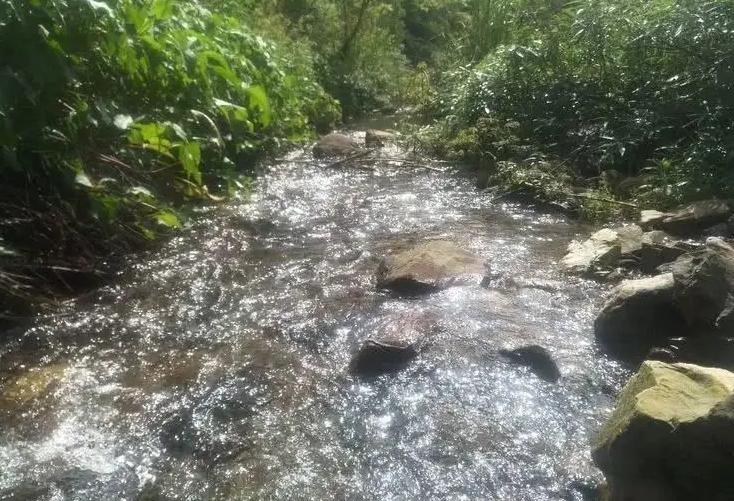 阳宗为什么要修高铁站,我国最心酸的高铁站阳宗站