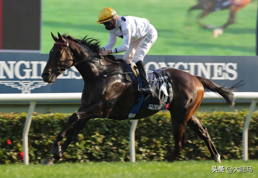 好好的公马，为啥要阉割掉？