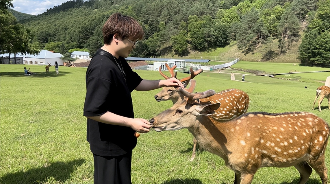 那些逃离大城市去鹤岗买房的人,南方人到鹤岗买房定居