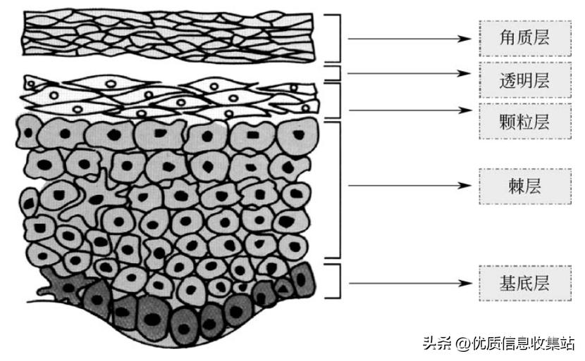 护肤书单爆款,美容化妆品书籍